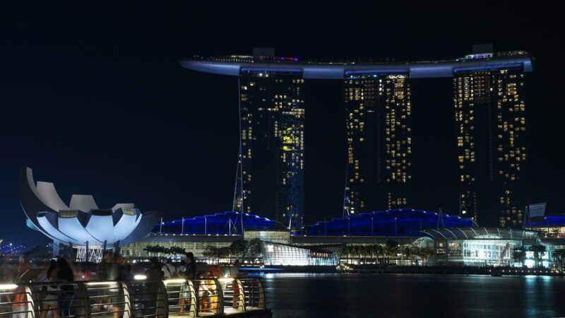 The Future of Urban Skylines: Sustainable Skyscrapers and Vertical Gardens