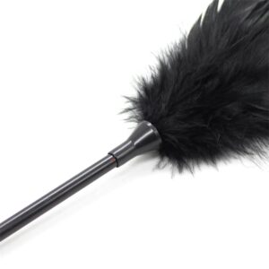 plumero-y-pala-2-en-1-48-cm-negro-1.jpg